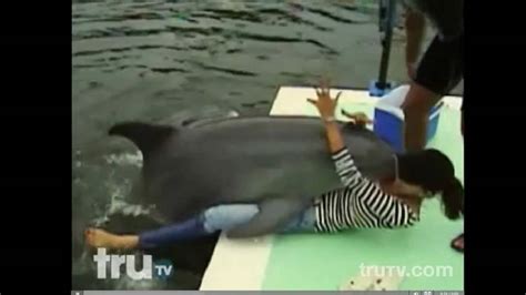 dolphin humping girl|Dolphin Gets A Little TOO Friendly with Woman